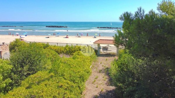 esavano in vendita a Roseto degli Abruzzi