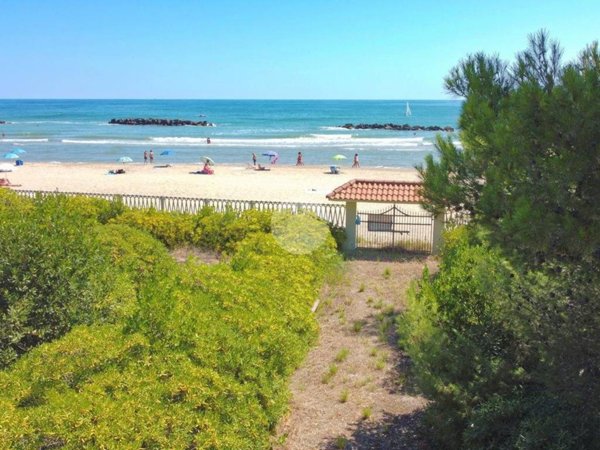 esavano in vendita a Roseto degli Abruzzi