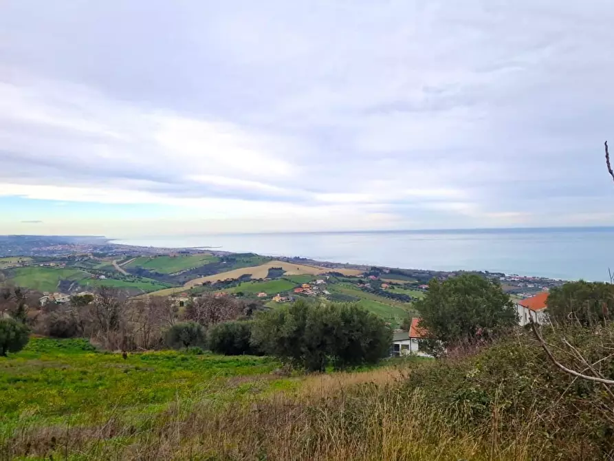 terreno agricolo in vendita a Roseto degli Abruzzi in zona Montepagano