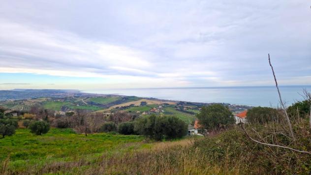 terreno agricolo in vendita a Roseto degli Abruzzi in zona Montepagano