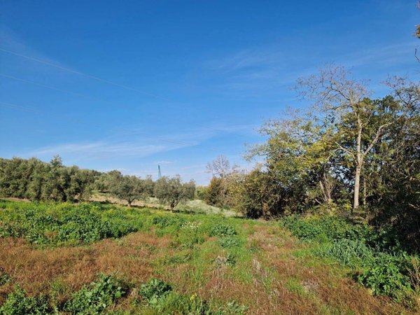 rudere in vendita a Roseto degli Abruzzi in zona Montepagano