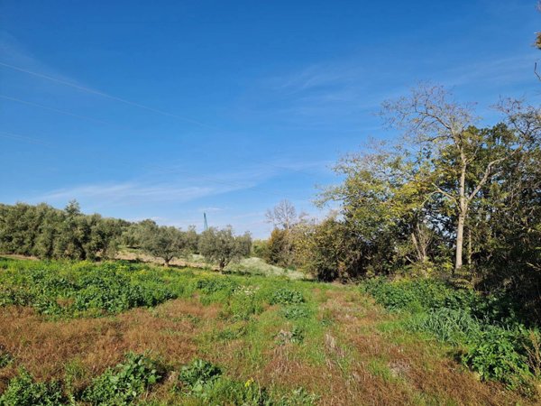 terreno agricolo in vendita a Roseto degli Abruzzi in zona Montepagano