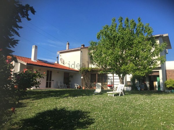esavano in vendita a Roseto degli Abruzzi
