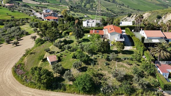 esavano in vendita a Roseto degli Abruzzi