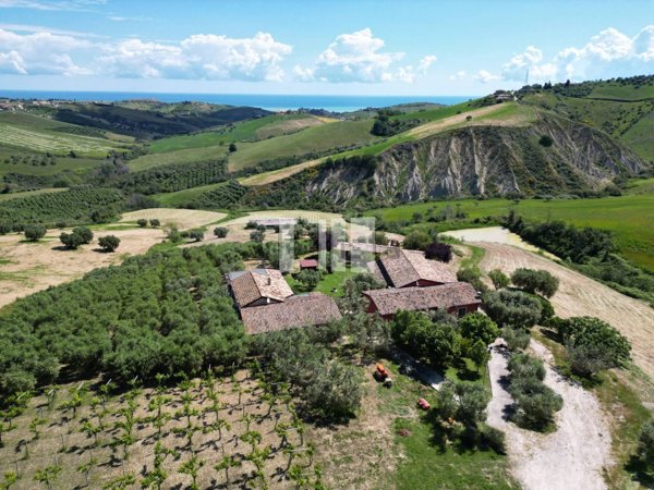 azienda agricola in vendita a Roseto degli Abruzzi in zona Cologna Paese