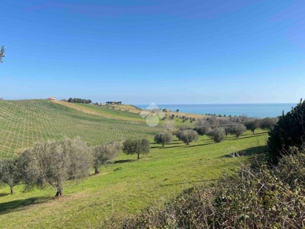 terreno agricolo in vendita a Roseto degli Abruzzi in zona Cologna Spiaggia