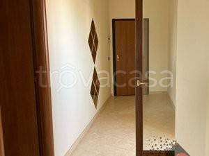 appartamento in vendita a Roseto degli Abruzzi