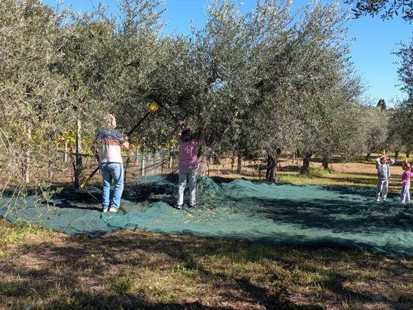 terreno agricolo in vendita a Roseto degli Abruzzi