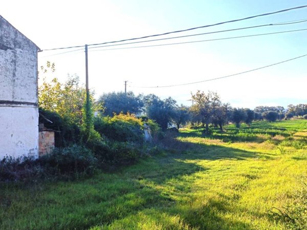 rudere in vendita a Roseto degli Abruzzi in zona Cologna Spiaggia