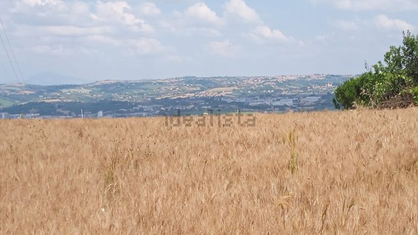 terreno agricolo in vendita a Roseto degli Abruzzi in zona Cologna Paese