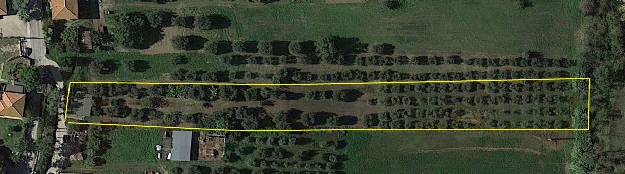 terreno agricolo in vendita a Roseto degli Abruzzi in zona Cologna Paese