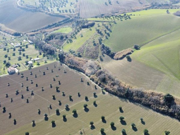 terreno agricolo in vendita a Roseto degli Abruzzi