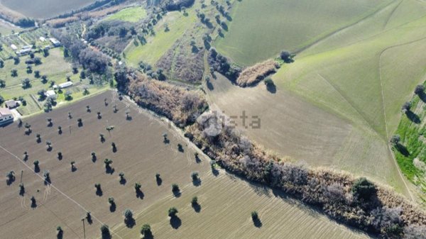 terreno agricolo in vendita a Roseto degli Abruzzi