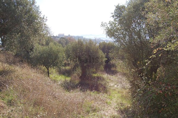 terreno agricolo in vendita a Roseto degli Abruzzi