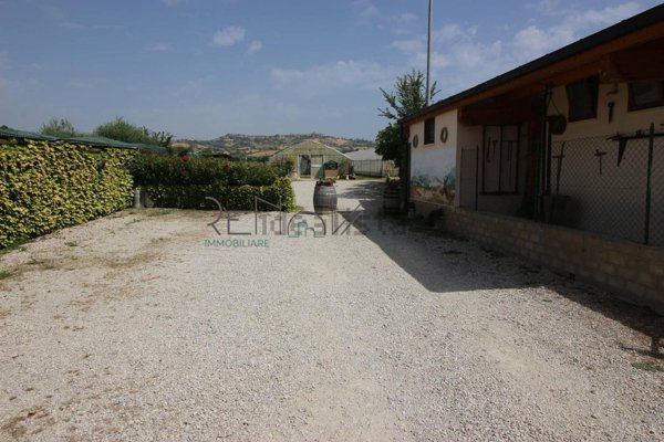esavano in vendita a Roseto degli Abruzzi