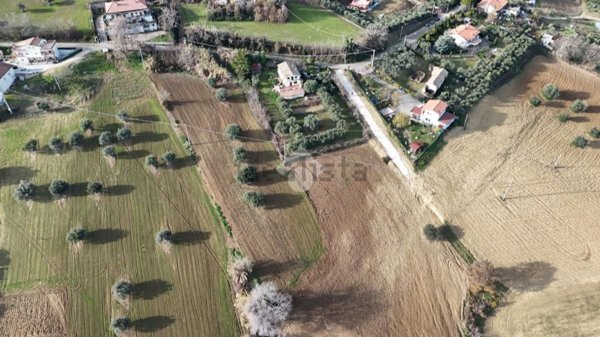 immagine annuncio 0 di 1