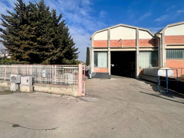 locale commerciale in vendita a Roseto degli Abruzzi in zona Palazzese