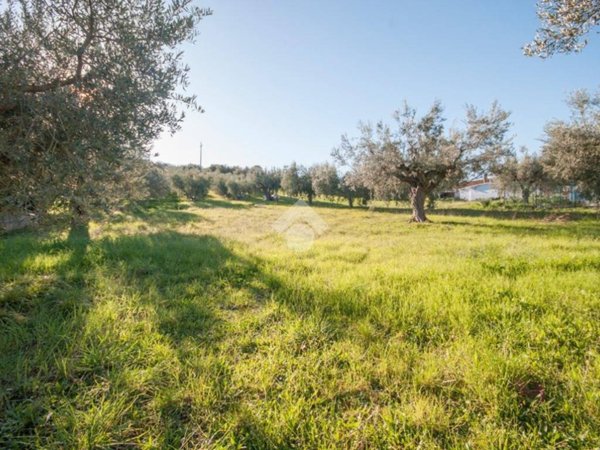 terreno edificabile in vendita a Roseto degli Abruzzi