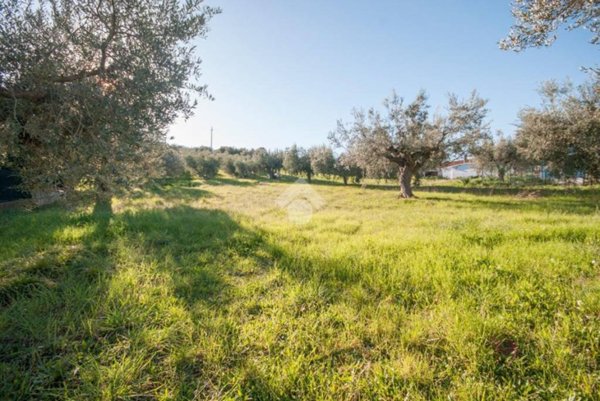 terreno edificabile in vendita a Roseto degli Abruzzi in zona Cologna Spiaggia