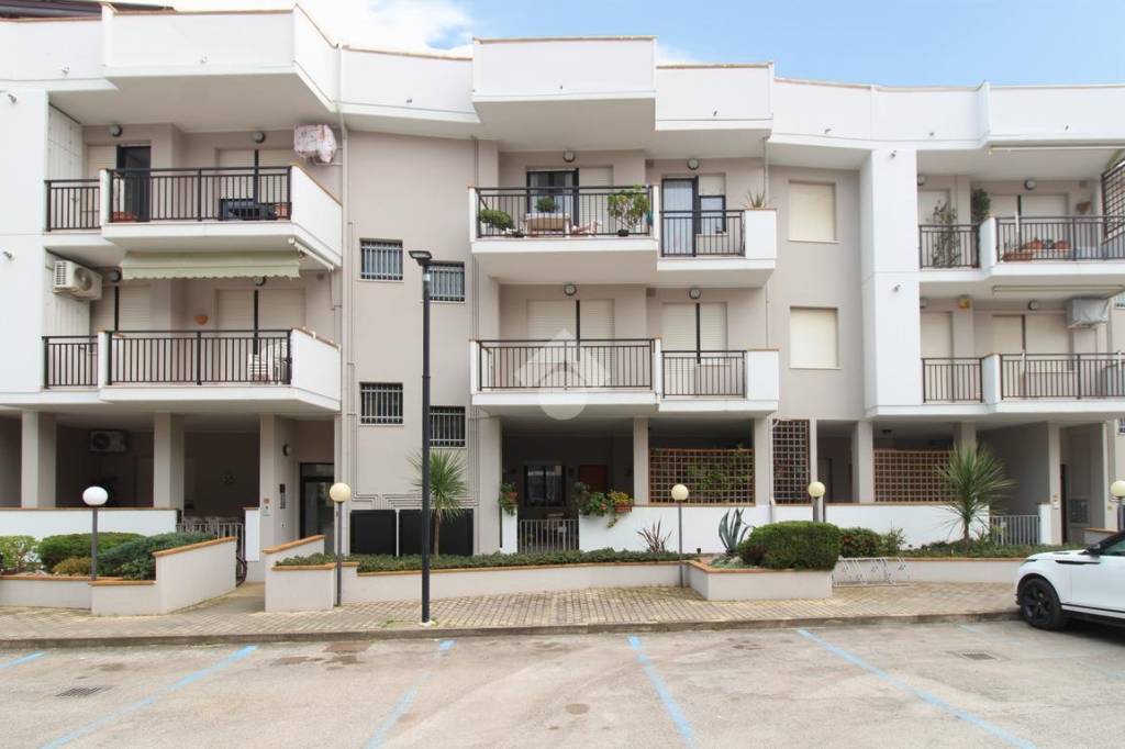 immagine annuncio 0 di 15