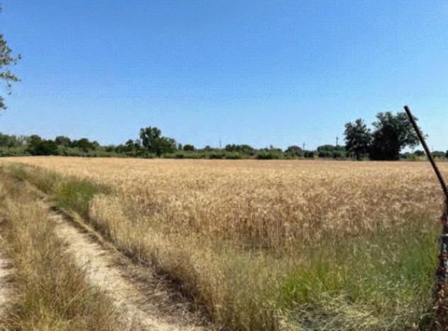 terreno edificabile in vendita a Roseto degli Abruzzi