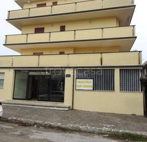 negozio in vendita a Roseto degli Abruzzi