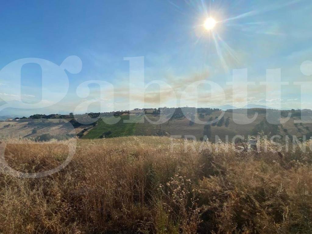 terreno agricolo in vendita a Roseto degli Abruzzi in zona Montepagano