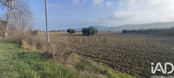 terreno in vendita a Roseto degli Abruzzi in zona Palazzese