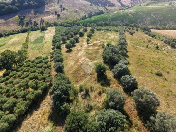 terreno in vendita a Roseto degli Abruzzi