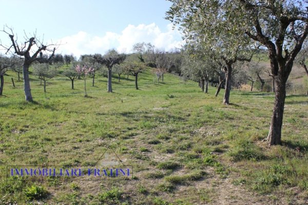 terreno agricolo in vendita a Sant'Egidio alla Vibrata in zona Faraone