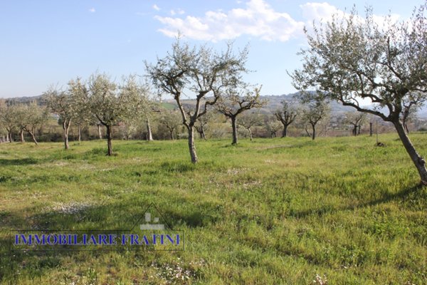 terreno agricolo in vendita a Sant'Egidio alla Vibrata in zona Faraone