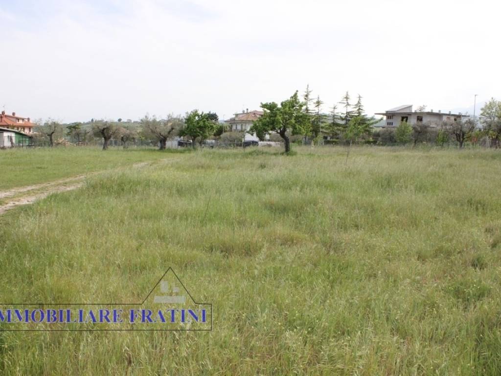 terreno agricolo in vendita a Sant'Egidio alla Vibrata in zona Villa Marchesa
