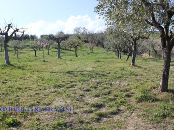 terreno agricolo in vendita a Sant'Egidio alla Vibrata in zona Faraone
