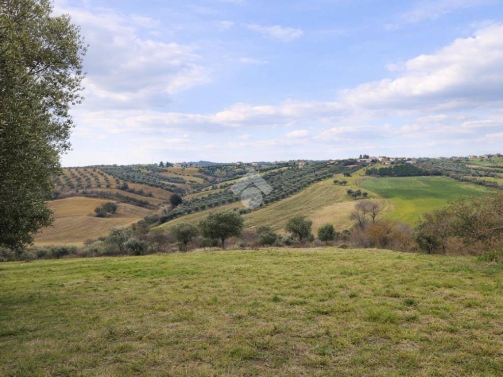 terreno agricolo in vendita a Sant'Omero