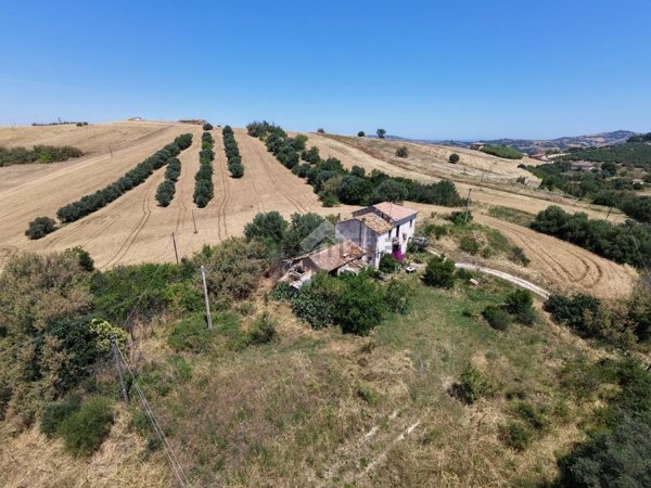 terreno agricolo in vendita a Sant'Omero in zona Poggio Morello