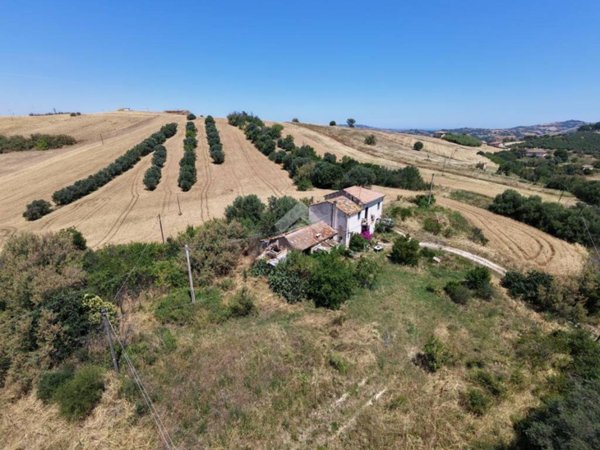 terreno agricolo in vendita a Sant'Omero in zona Poggio Morello