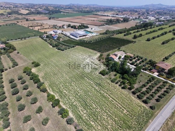 casa indipendente in vendita a Sant'Omero in zona Poggio Morello