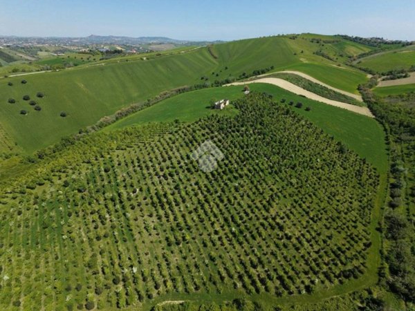 casa indipendente in vendita a Sant'Omero in zona Villa Gatti