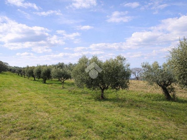 terreno in vendita a Sant'Omero in zona Poggio Morello