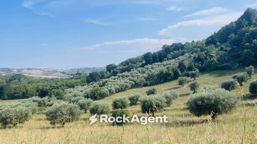 terreno in vendita a Sant'Omero in zona Poggio Morello