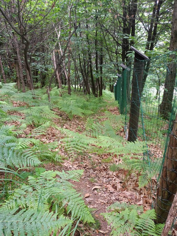 terreno agricolo in vendita a Roccaforte Mondovì