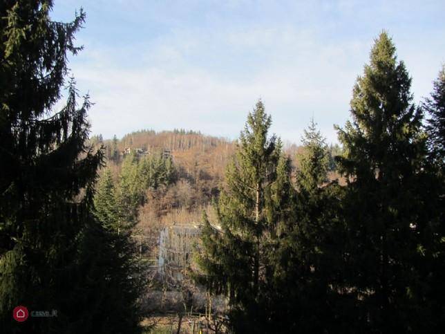 appartamento in vendita a Roccaforte Mondovì