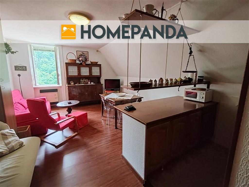 appartamento in vendita a Roccaforte Mondovì in zona Lurisia