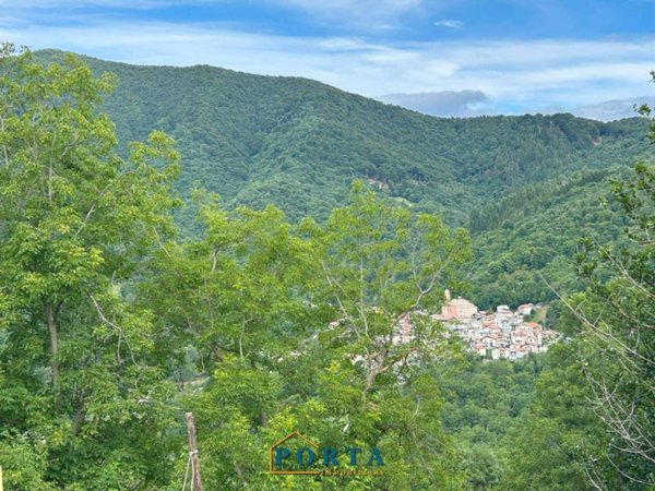 casa indipendente in vendita a Roccaforte Mondovì in zona Baracco