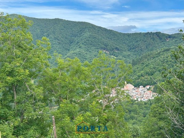 casale in vendita a Roccaforte Mondovì in zona Baracco