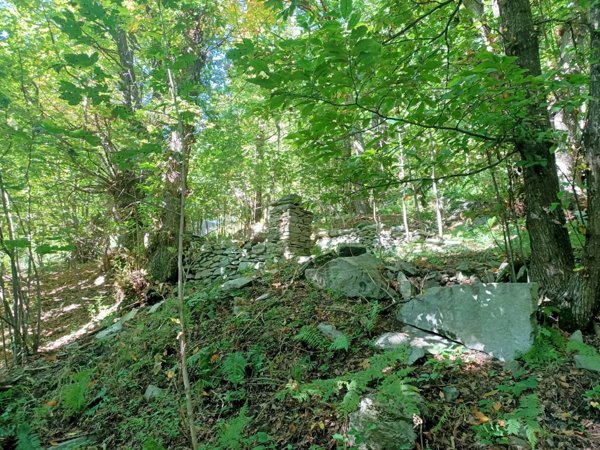 baita in vendita a Roccaforte Mondovì in zona Prea