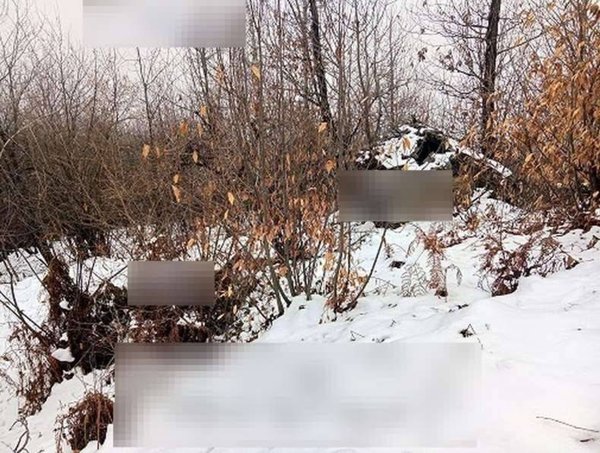 capannone in vendita a Roccaforte Mondovì in zona Lurisia