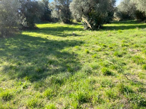 terreno agricolo in vendita a Silvi in zona Pianacce