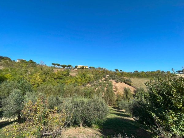 terreno agricolo in vendita a Silvi