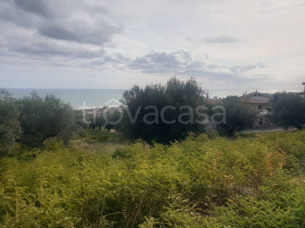 terreno agricolo in vendita a Silvi